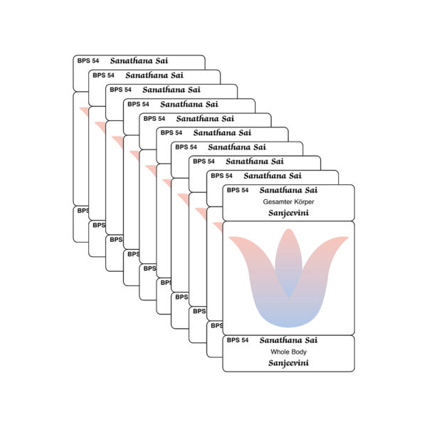 Gesamter Körper-Karten 10 Stück